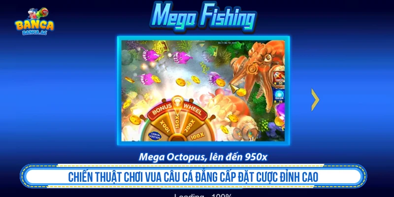 Chiến Thuật Chơi Vua Câu Cá Đẳng Cấp Đặt Cược Đỉnh Cao