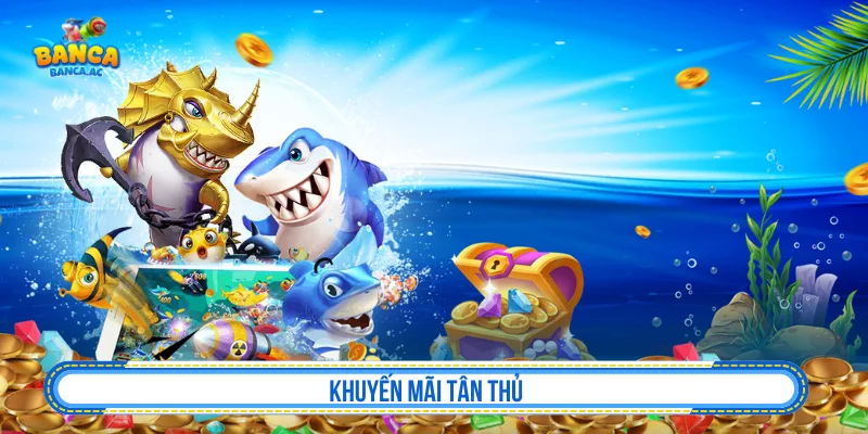 Khuyến mãi tân thủ