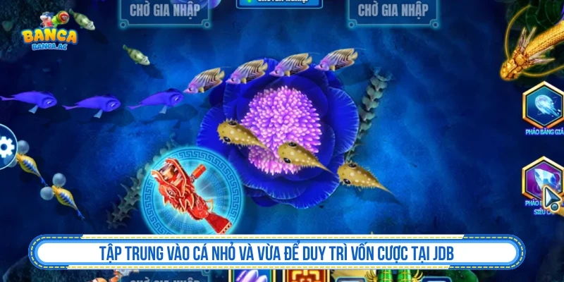 Bắn Cá JDB Đẳng Cấp Và Cách Tham Gia Hiệu Quả Nhất Tập trung vào cá nhỏ và vừa để duy trì vốn cược tại JDB